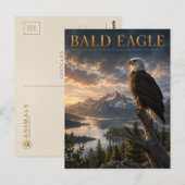 Carte Postale ANIMAUX du lac Bald Eagle Mountain (Devant / Derrière)