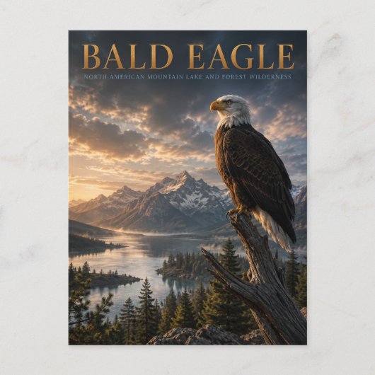 Carte Postale ANIMAUX du lac Bald Eagle Mountain (Devant)