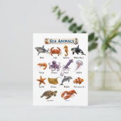 Carte Postale Animaux marins (Debout devant)