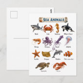 Carte Postale Animaux marins (Devant / Derrière)