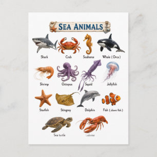 Carte Postale Animaux marins
