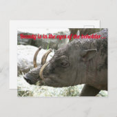 Carte Postale Animaux moches, Babirusa (Devant / Derrière)