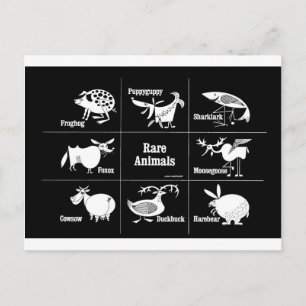 Carte Postale Animaux rares