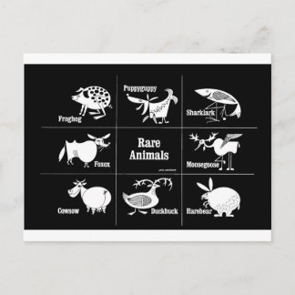 Carte Postale Animaux rares