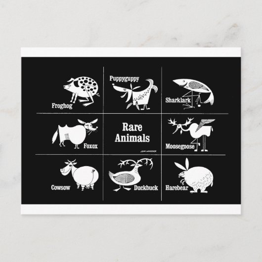 Carte Postale Animaux rares (Devant)