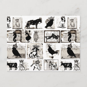 Carte Postale Animaux Royaux vintages Noirs Et Blancs
