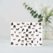 Carte Postale Animaux sauvages (Debout devant)
