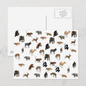 Carte Postale Animaux sauvages (Devant / Derrière)