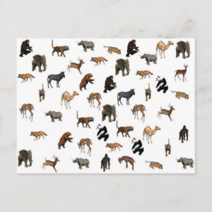 Carte Postale Animaux sauvages