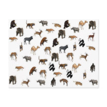 Animaux sauvages