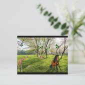 Carte Postale Animaux Sauvages (Debout devant)