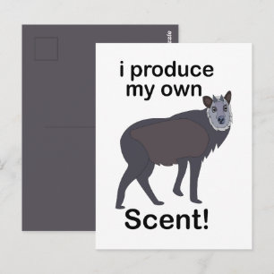 Carte Postale Animaux Serows Je Produis Mon Propre Parfum Citati