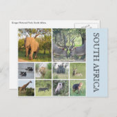 Carte Postale animaux sud-africains (Devant / Derrière)