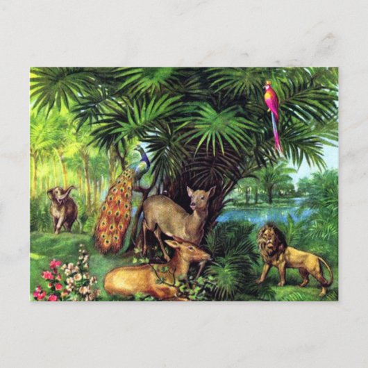 Carte Postale Animaux vintages (Devant)