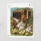 Carte Postale Animaux vintages, Coq, Poules, Poulets (Devant / Derrière)