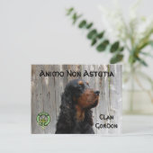 Carte postale Animo Non Astutia, Gordon Setter (Debout devant)