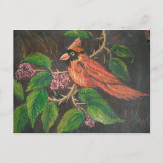 Carte postale Ann Hayes Peinture Cardinal