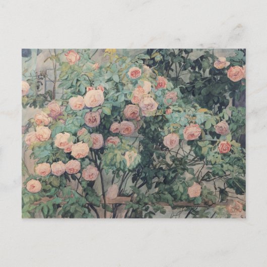 Carte Postale Anna Syberg Roses Vintages (Devant)