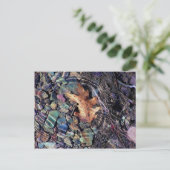 Carte Postale anneaux d'eau vive (Debout devant)