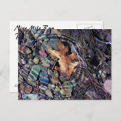 Carte Postale anneaux d'eau vive (Devant / Derrière)