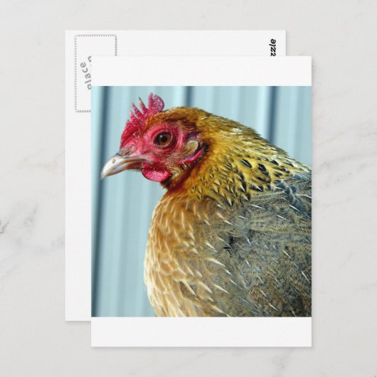 Carte Postale Annie (Devant / Derrière)