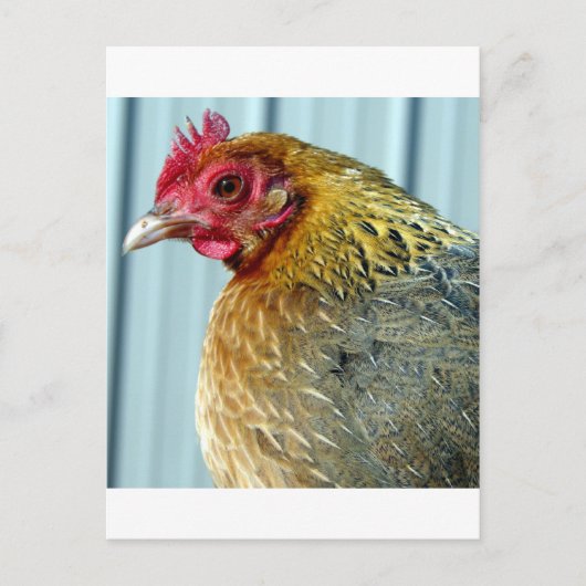 Carte Postale Annie (Devant)