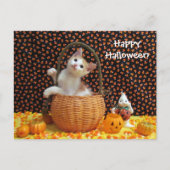 Carte Postale Annie's Curious Halloween Chat (Devant)