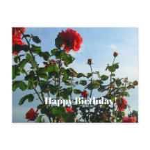 Carte postale Anniversaire