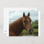 Carte Postale Anniversaire 012 (Devant / Derrière)