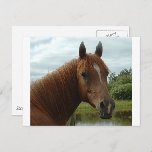 Carte Postale Anniversaire 012 (Devant / Derrière)