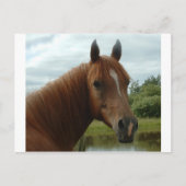 Carte Postale Anniversaire 012 (Devant)