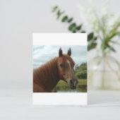 Carte Postale Anniversaire 012 (Debout devant)