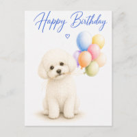 Anniversaire Bichon Frise