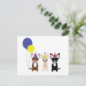 Carte Postale anniversaire-chihuahuas-stelieandco (Debout devant)