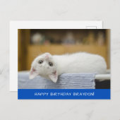 Carte postale Anniversaire Cute Chat Blanc (Devant / Derrière)