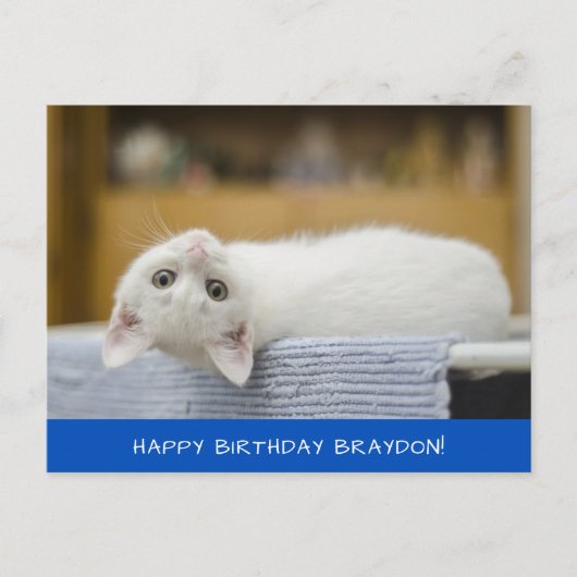Carte postale Anniversaire Cute Chat Blanc (Devant)