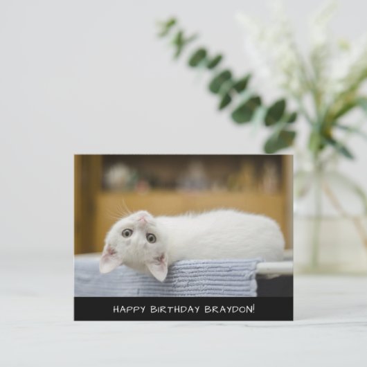 Carte postale Anniversaire Cute Chat Blanc (Debout devant)