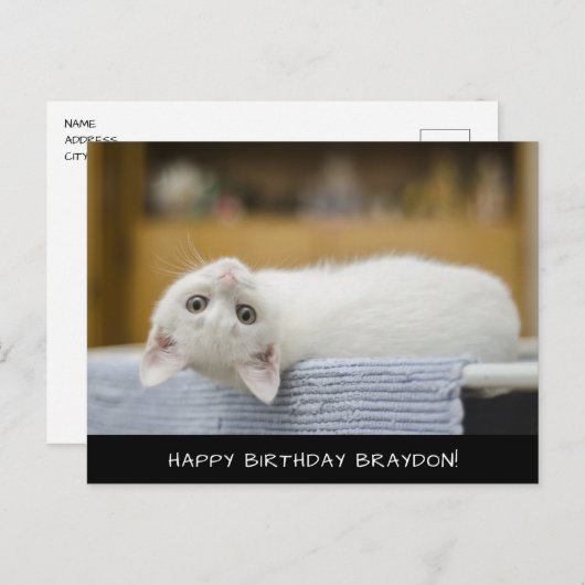 Carte postale Anniversaire Cute Chat Blanc (Devant / Derrière)