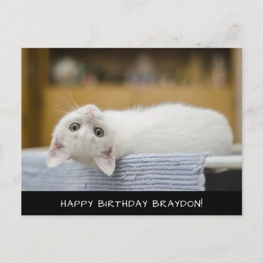 Carte postale Anniversaire Cute Chat Blanc (Devant)