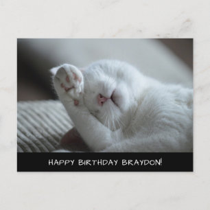 Carte postale Anniversaire Cute Chat Blanc