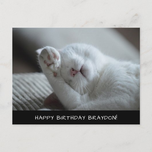 Carte postale Anniversaire Cute Chat Blanc (Devant)