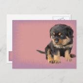 Carte Postale Anniversaire de Cute Rottweiler (Devant / Derrière)