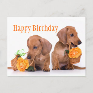 Carte Postale Anniversaire de Dachshund