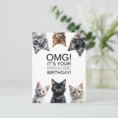 Carte Postale Anniversaire de la Dame aux Chats | OMG ! C'est to (Debout devant)