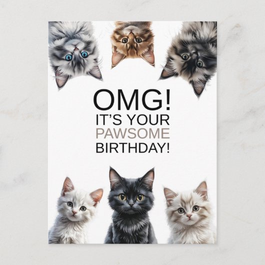 Carte Postale Anniversaire de la Dame aux Chats | OMG ! C'est to (Devant)