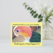 Carte Postale Anniversaire de Little Bird (Debout devant)