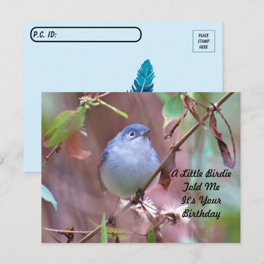 Carte postale Anniversaire de Little Birdie (Devant / Derrière)