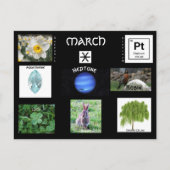 Carte postale Anniversaire de mars Pisces (Devant)