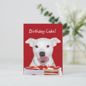 Carte Postale Anniversaire de Pit Bull Terrier (Debout devant)