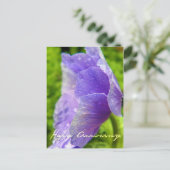 Carte Postale Anniversaire des fleurs violettes (Debout devant)